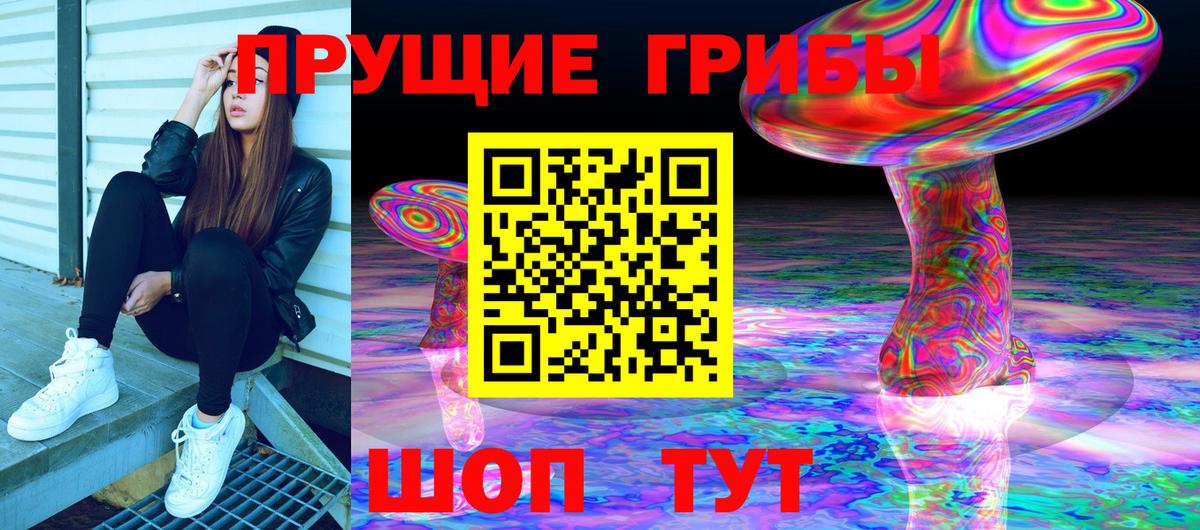 Оренбург  Галлюциногенные грибы Cubensis  Вход с VPN 